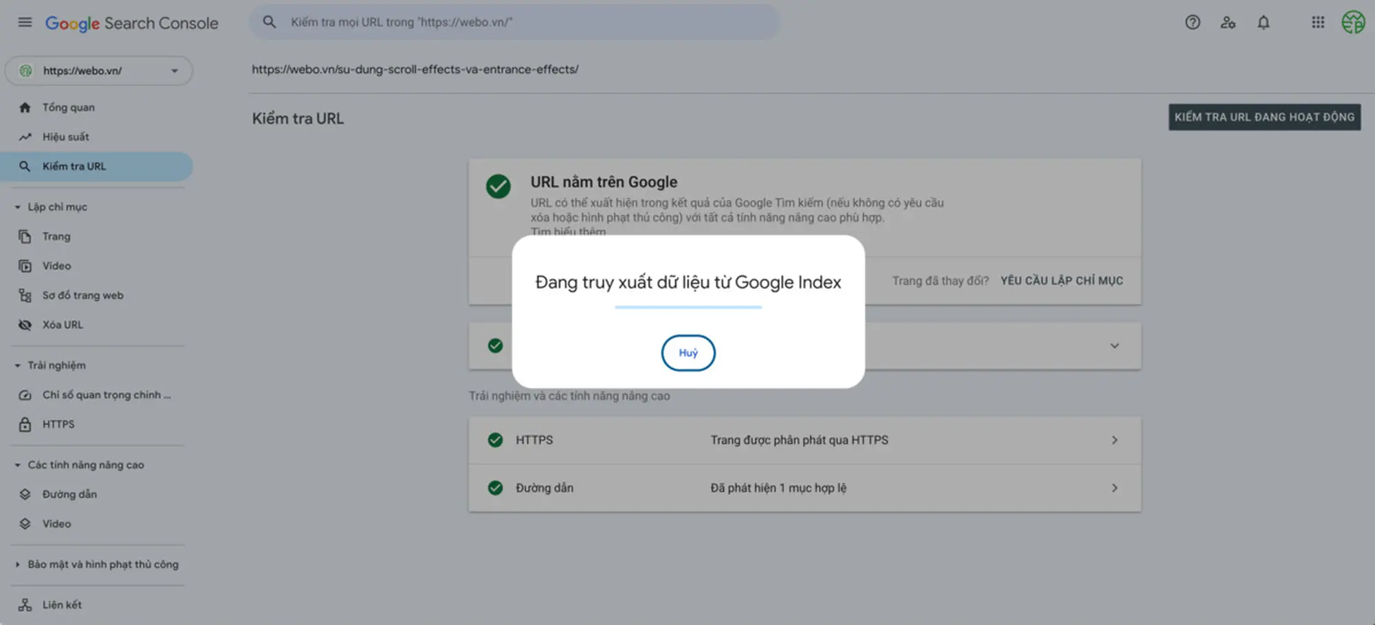 kiểm tra index bằng google search console