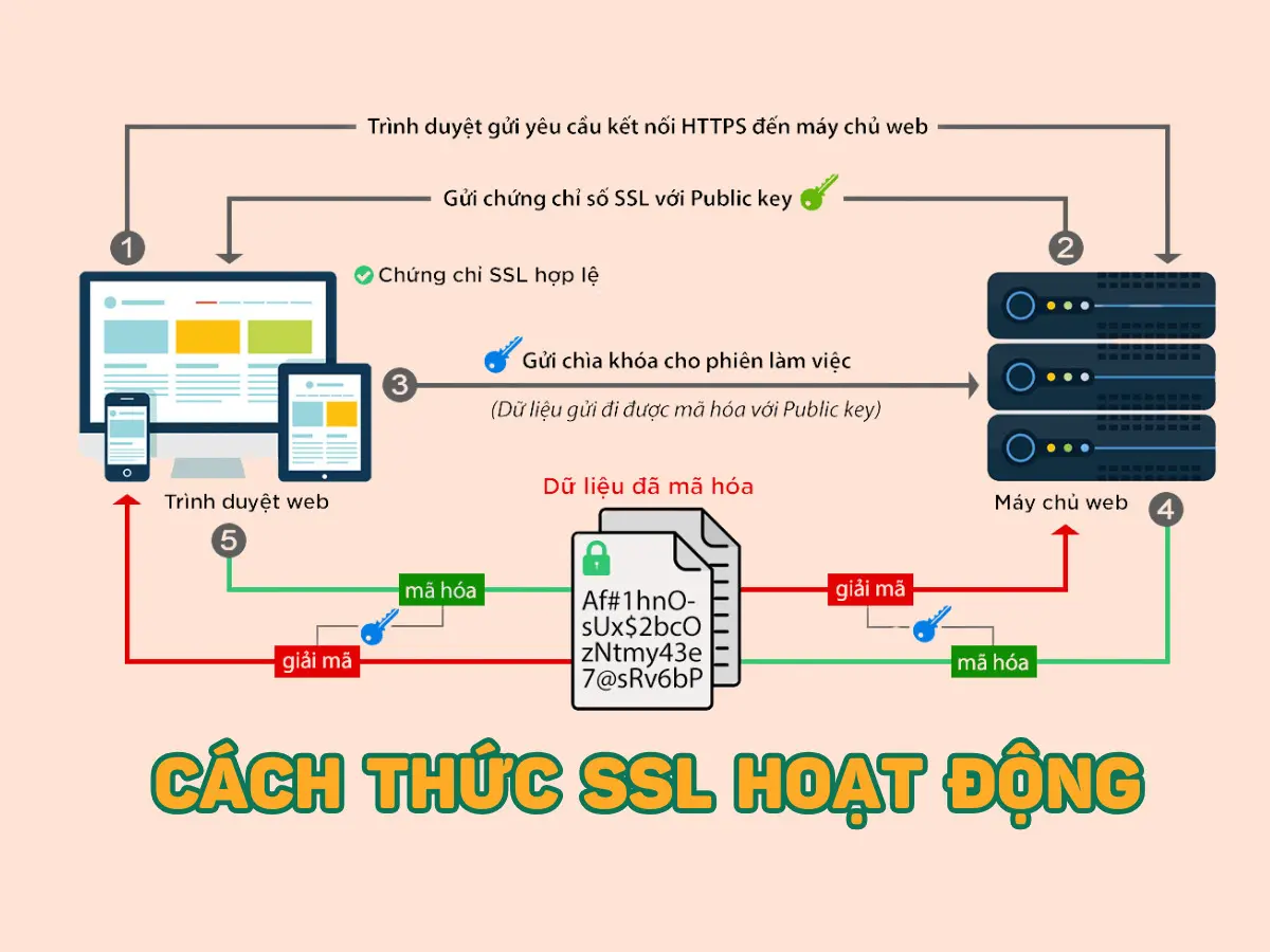 ssl hoạt động như thế nào?