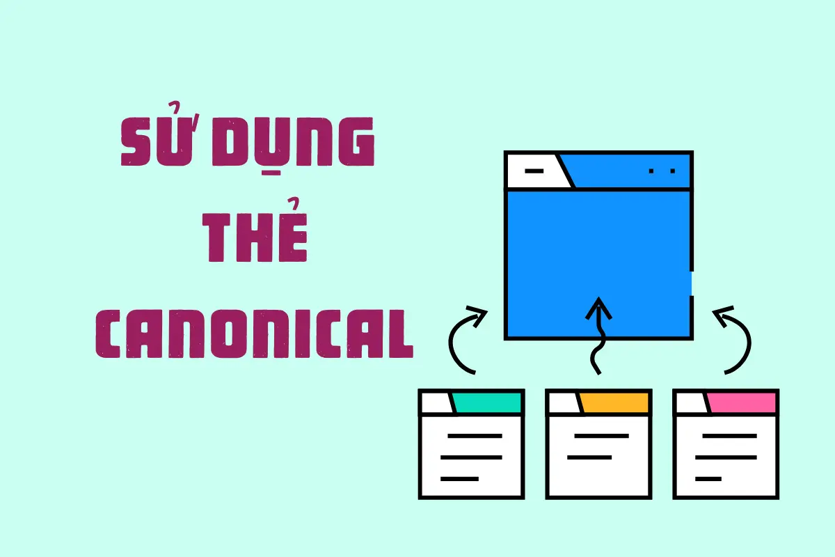 sử dụng canonical