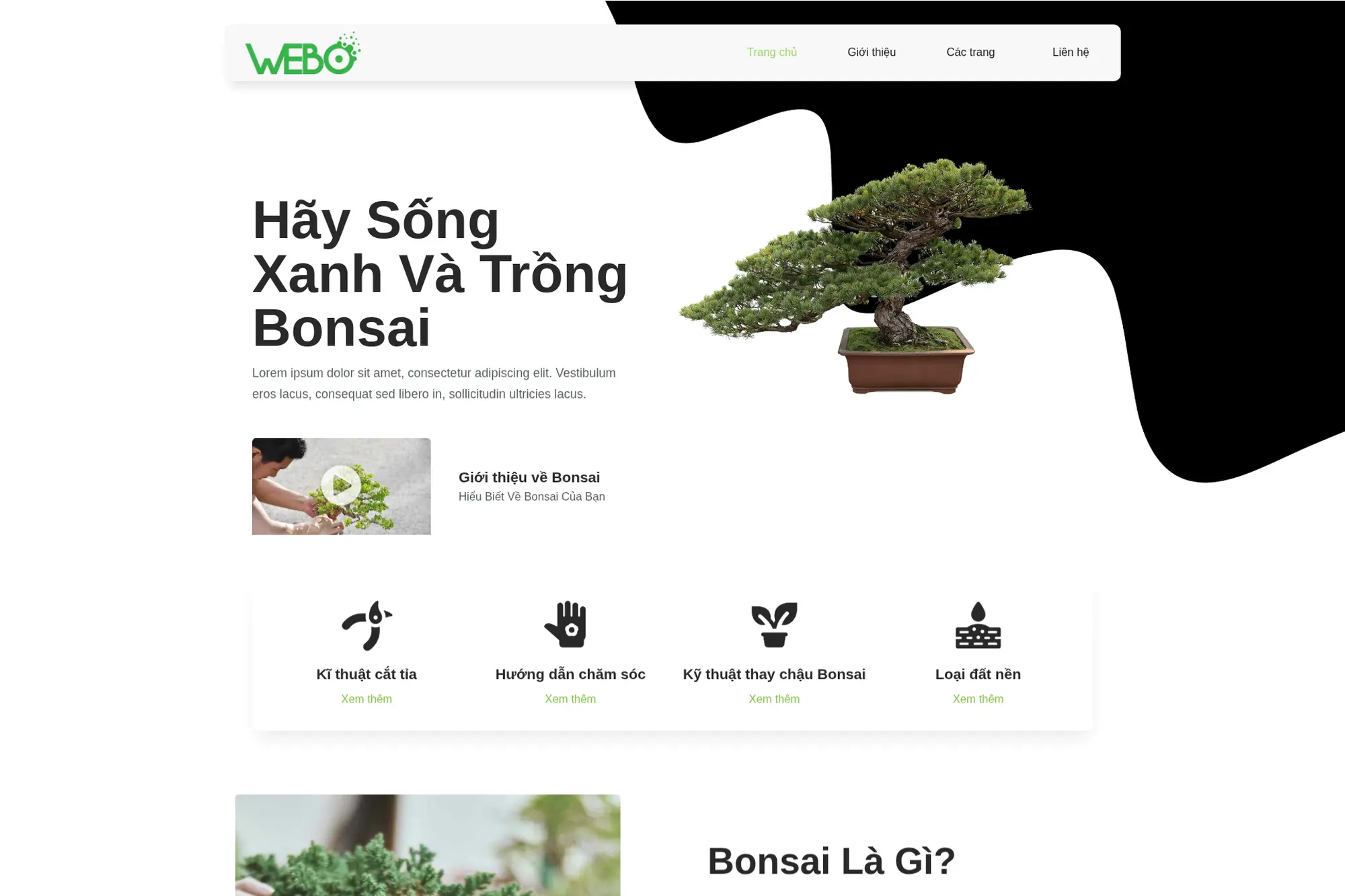 bonsay - bonsai studio