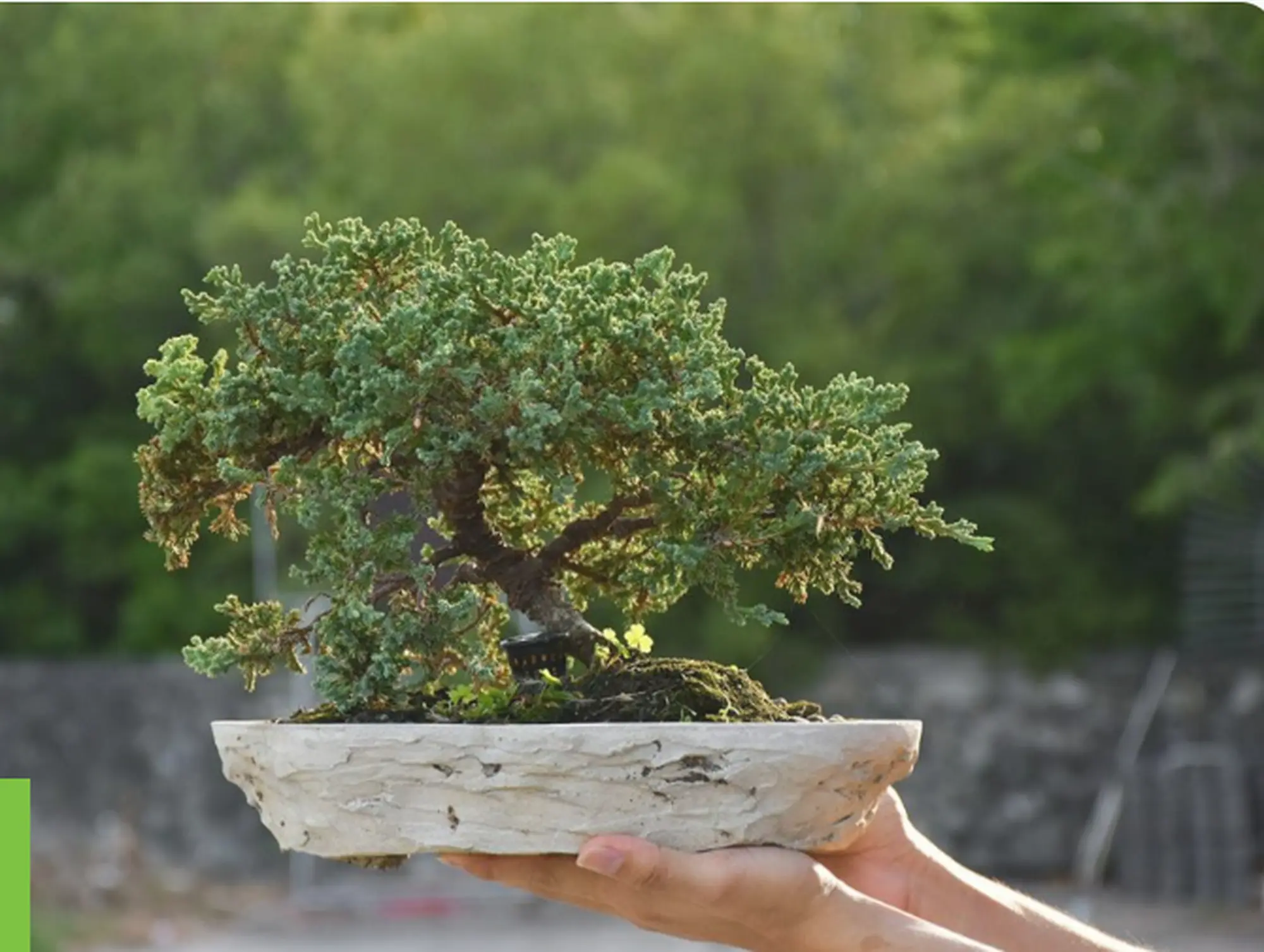 Phát triển nhiều hơn và kiên nhẫn hơn