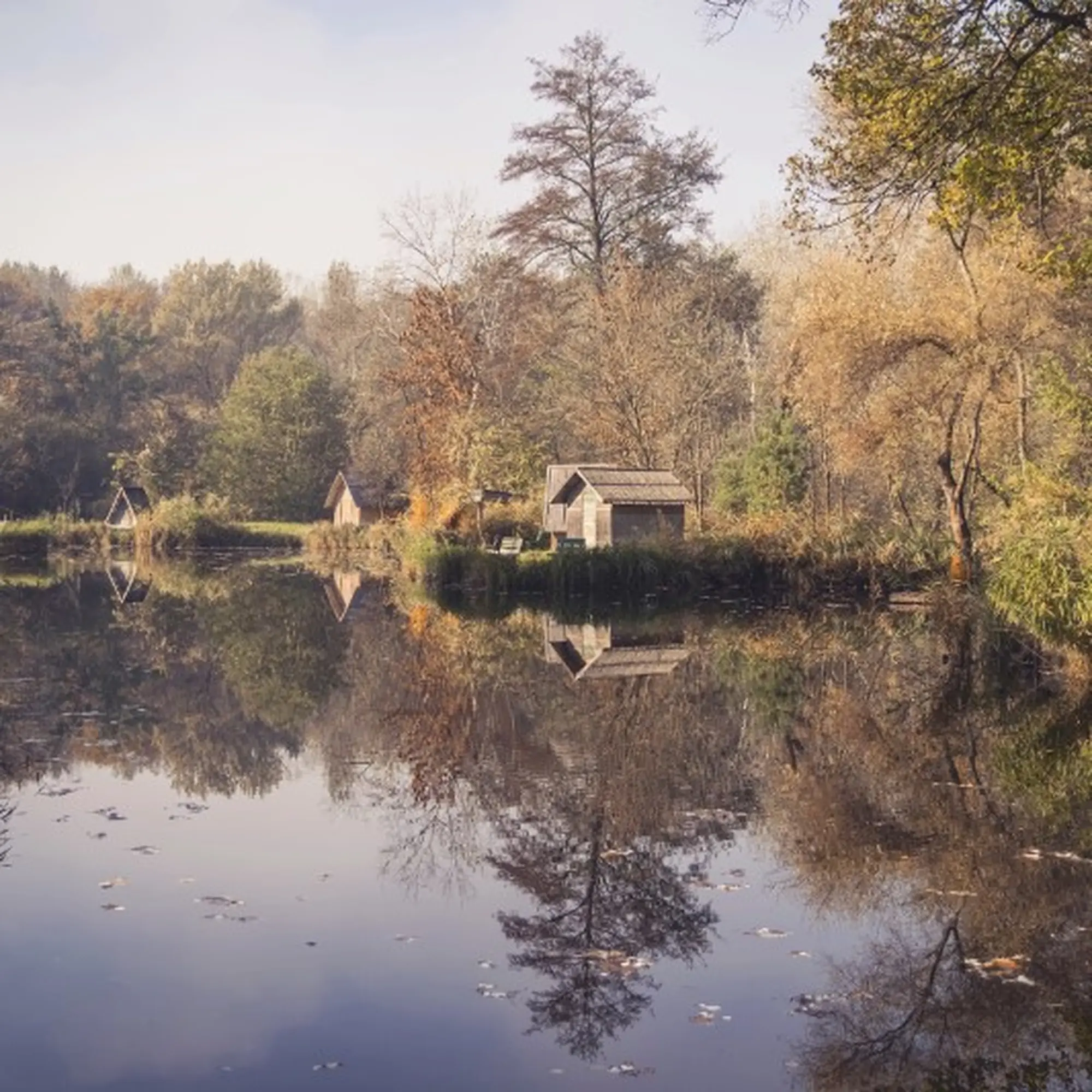 autumn-moments-VMXYG2U-Custom.jpg