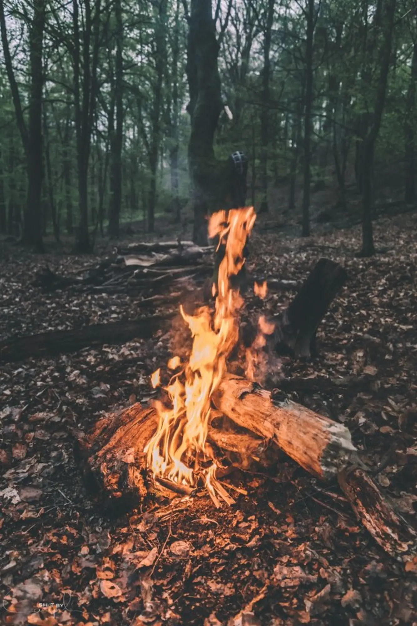 campfire-moments-EJ3FMD2-Custom.jpg