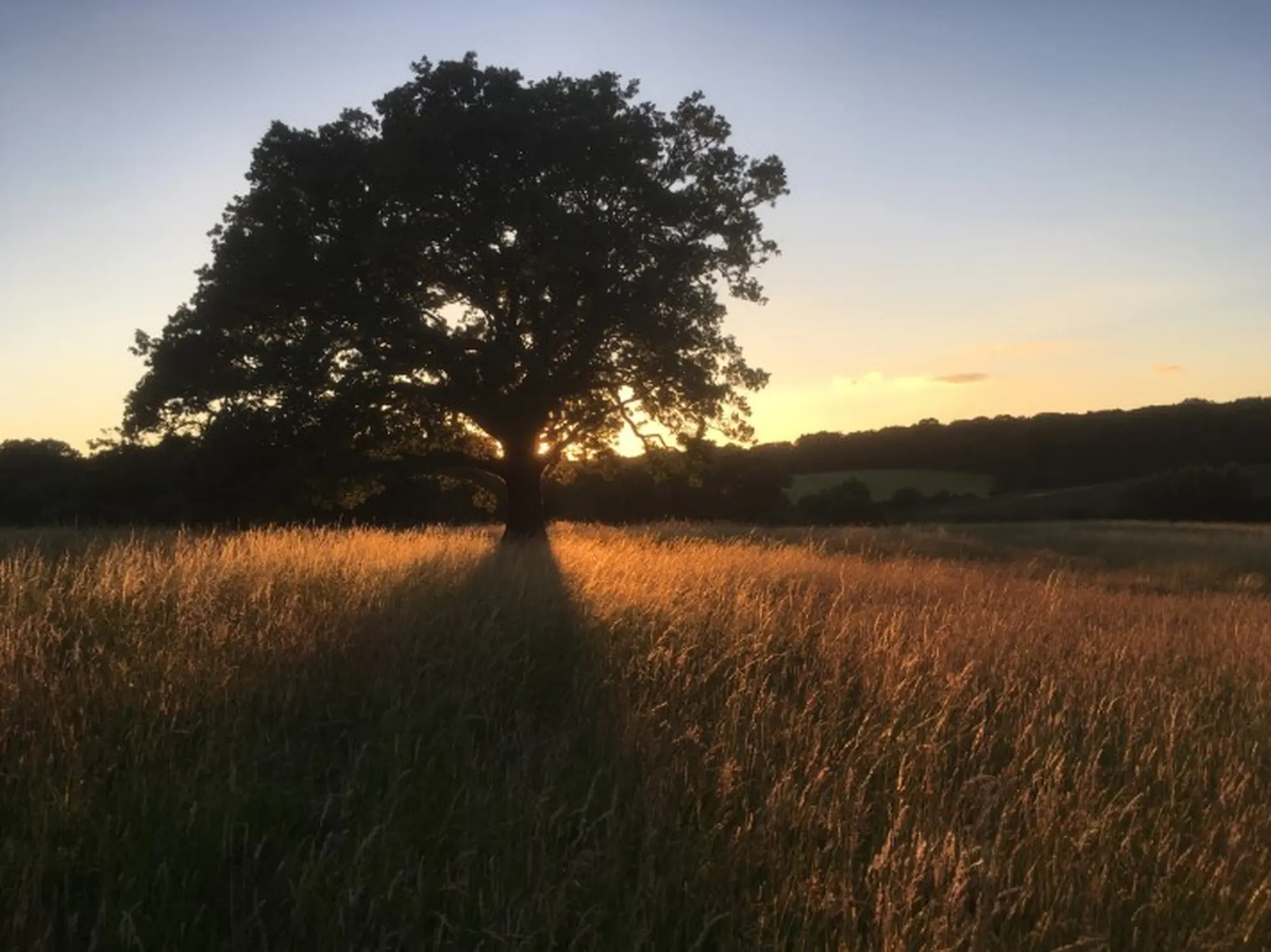 sunset-moments-N6VH6QV-Custom.jpg