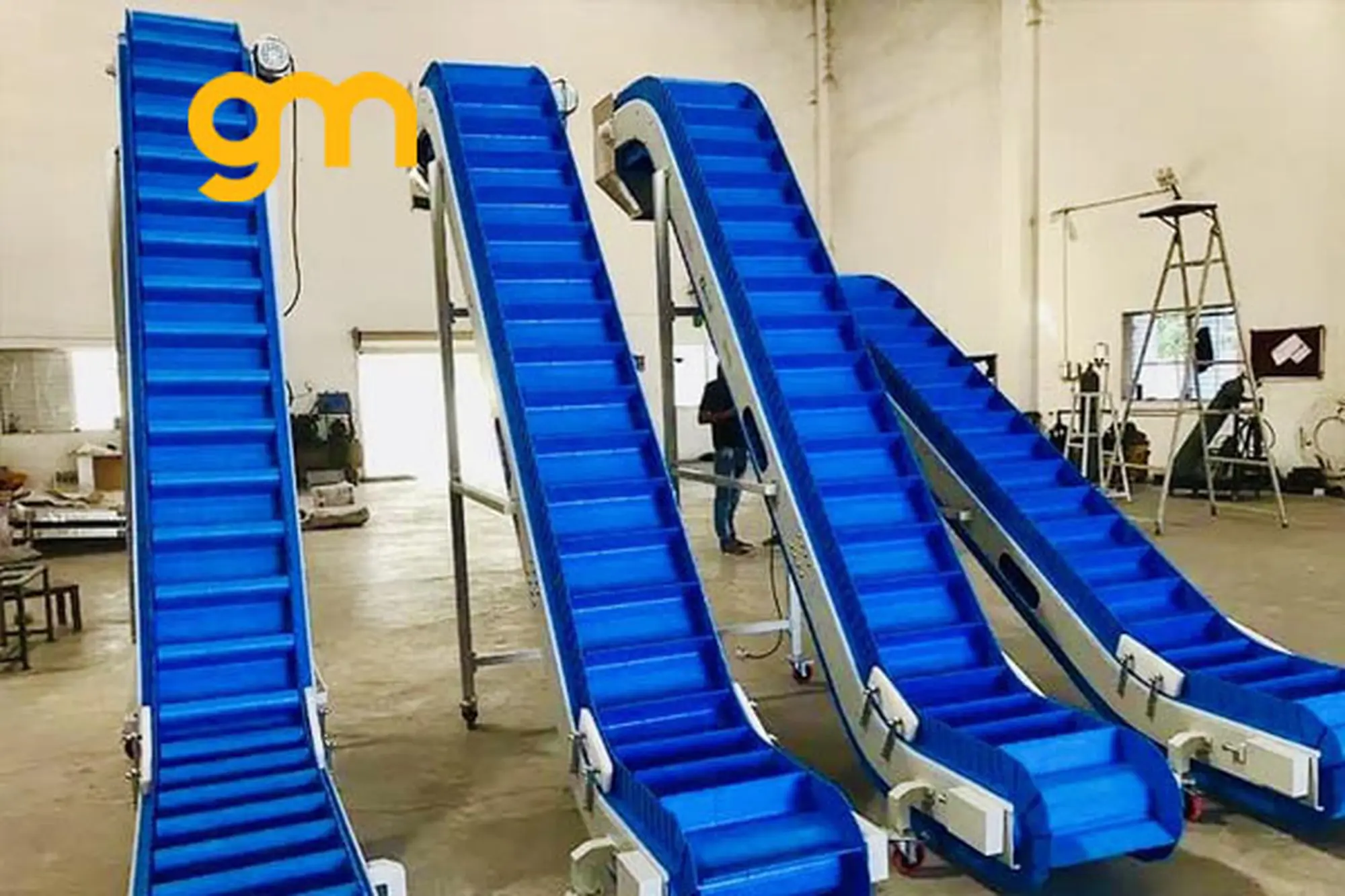 Ảnh 3