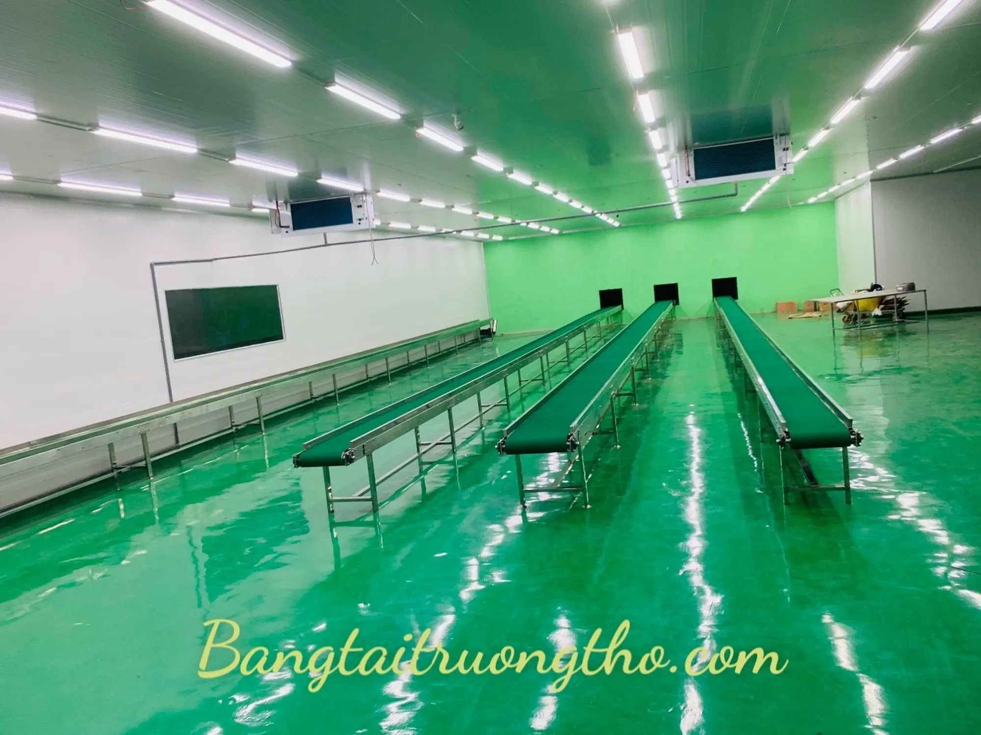 Băng tải pvc tải sầu riêng