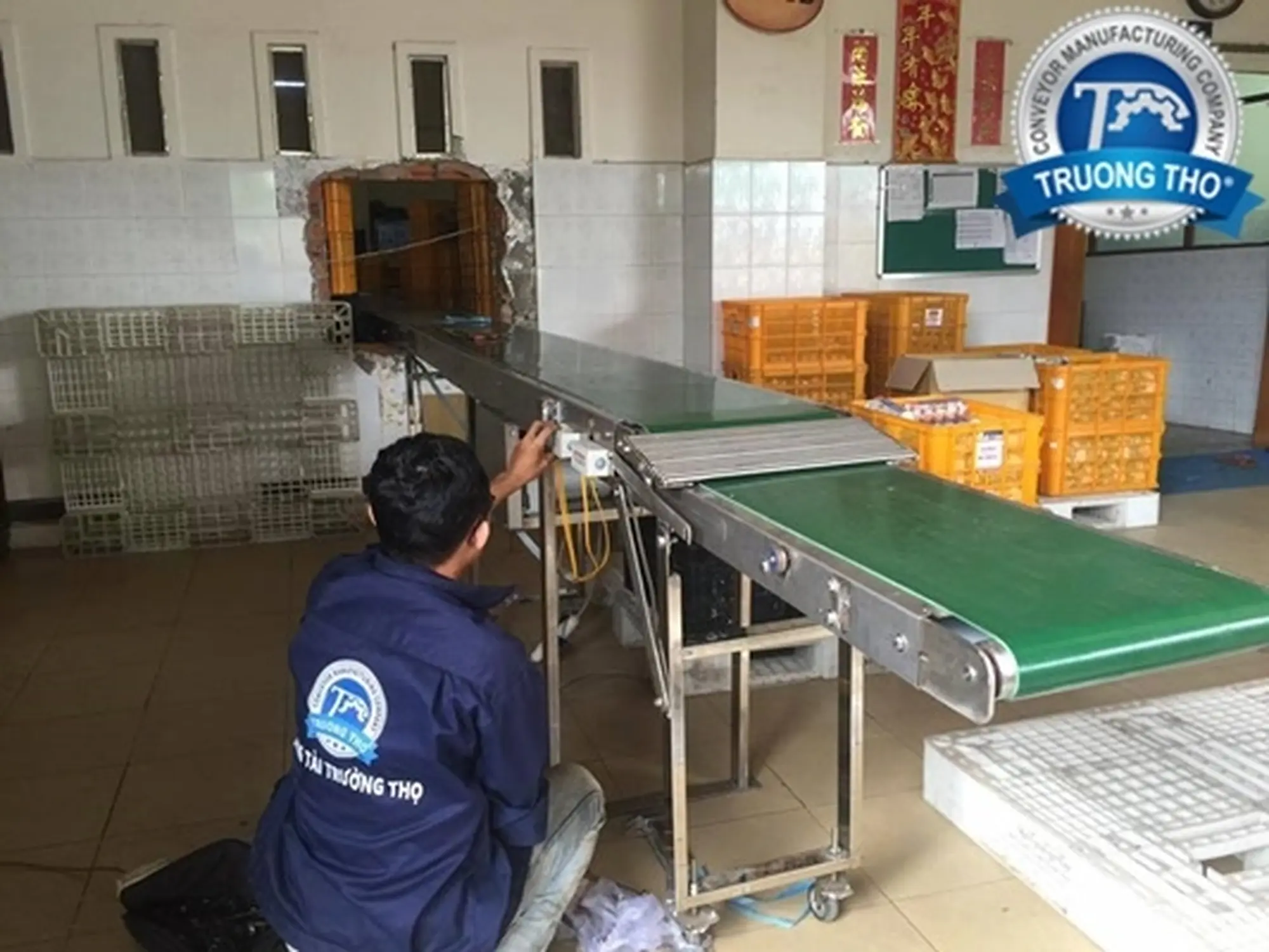 Băng tải PVC tải trứng
